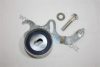 AUTOMEGA 1006360735 Tensioner Pulley, timing belt